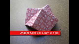 Origami Cool Box