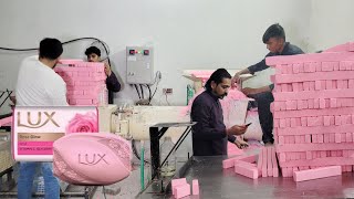 Mass Production Of Soap Manufacturing Process in Factory