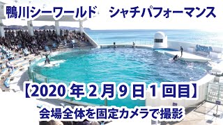 【2020年2月9日1回目】鴨川シーワールド　シャチパフォーマンス　会場全体を固定カメラで撮影