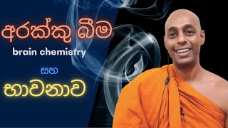 අරක්කු සිගරට්, Brain Chemistry සහ භාවනාව  Part 2