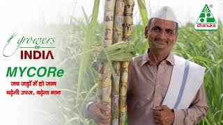 Growers of India- MYCORE