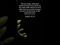 Bible | Daniel 11:27 | The two kings with their heart...