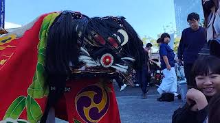 獅子舞王国さぬき2024「長楽寺獅子組連」三木町氷上　氷上八幡神社　流儀（平獅子）