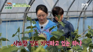 뚜루뚜뚜~하나's 썸 2탄♥ 오이 수확하다 말고 핑크빛 썸의 기류! | tvN STORY 230424 방송