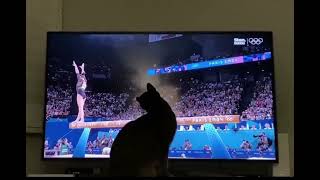 Kitten saves the gymnast