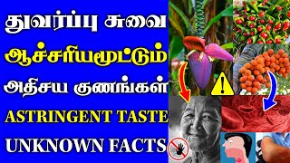 துவர்ப்பு சுவையின் ஆச்சரியமூட்டும் குணங்கள் | AMAZING Facts About Astringent Taste | Thanithuvamm