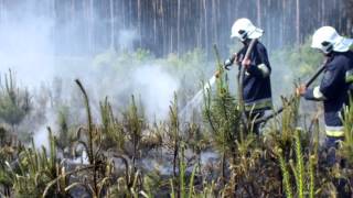 OSP Sipiory - Duży pożar lasu w Nadleśnictwie Studzienki 28.05.2012