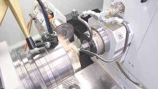 DANOBAT - Diesel injection pump grinding ID