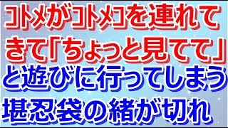 【スカッとする話】【スカッと】ｺﾄﾒがｺﾄﾒｺを連れてきて「ちょっと見てて」と遊びに行ってしまう。堪忍袋の緒が切れた