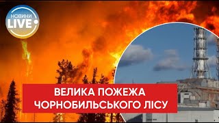 ⚡️⚡️ Біля Чорнобиля спалахнули потужні лісові пожежі: запах гару дістався Києва