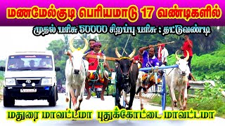 Pudukkottai ||மணமேல்குடி_பெரியமாடு || Perai_raj_studio