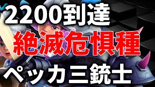 【クラロワ】自作ペッカ三銃士紹介