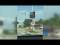 patutlah viral tindakan lembu berhenti dekat lampu isyarat merah raih perhatian tengok apa jadi...