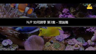 第二章  第3集 理論  - N/P如何歸零 (四萬海水缸)