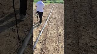 sprinkler system oscillating sprinkler irrigation control #shorts #supplier #lifehack #crop #land