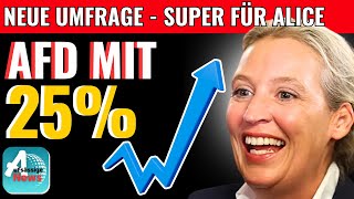 25% FÜR AfD - SENSATION UMFRAGE