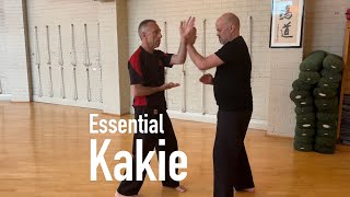 Essential kakie: a comprehensive guide