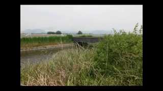 遠賀総合運動公園　②　福岡県遠賀町　風景写真帖