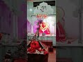 भागूबाई माता bhagubai mata jay mata di शिवनगरी जळगाव सपकाळ mgsapkal shorts bhagubaimata