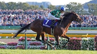 2013 Tenno Sho (Autumn) (G1) - Just a Way