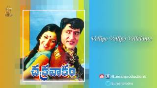 Chakravakam Telugu Movie | Vellipo Vellipo Song | Shobhan Babu | Vanisri | Suresh Productions