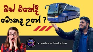 බස් එකේදී මොකද උනේ ?? 😱 #grodno #ගවේශන  production                          What happened on the bus