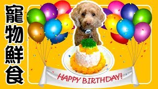 【寵物鮮食#10】如何製作寵物生日蛋糕 奇奇四歲生日快樂 貓狗鮮食