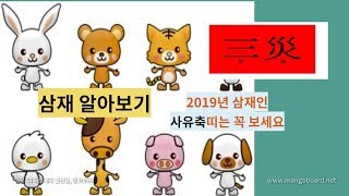 삼재는 뭘까? 2019년 삼재띠 사주로 알아보는 삼재 / 뱀띠, 닭띠, 소띠