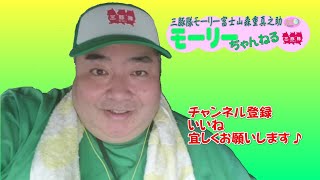 三豚隊モーリーちゃんねるvol.70「第2大根畑視察編」