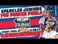 2019 CO 4th of July 14u Power Pool Announcement