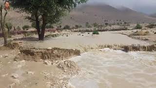 Habib rahi rain 2 sep 2019