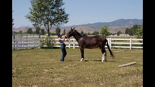 LTR Training Tip #28: How to Square Up