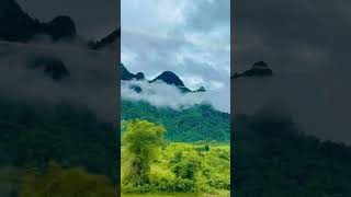 บรรยากาศหลังฝนตก ก็จะเป็นประมาณนี้ค่ะ 🌫️🏞️🌳🌿❤️ #ทะเลหมอก #วิวสวย #ธรรมชาติ #ธรรมชาติบำบัด