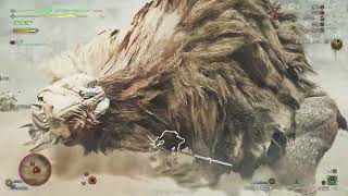 魔物獵人 荒野 Monster Hunter Wilds DEMO測試 part2