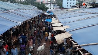 চট্টগ্রামে হাটে আসছে কোরবানির পশু