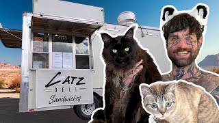 Arizona’s NEWEST Cat Cafe