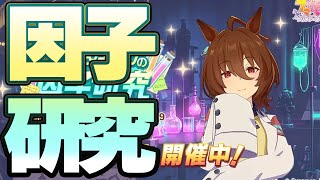 【ウマ娘】因子研究に向けて因子周回【逃げ】