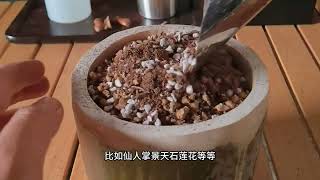 我用竹罐种了多肉，没想到竟然成了客厅的一道风景线！诚品绿仓－－悠然　自然　卓越