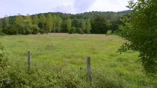 La ferme du Bec Hellouin