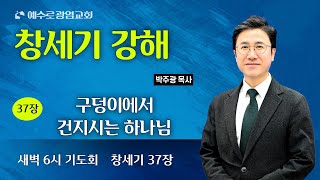 예수로광염교회 새벽 6시예배(2025.1.23) 창세기 37장