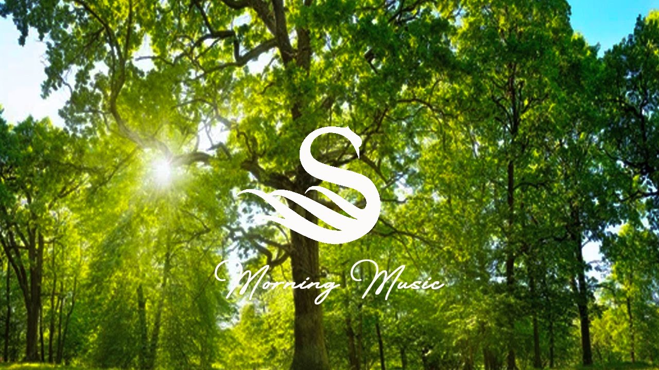Beautiful Morning Music Happy And Positive Energy Start Your Day