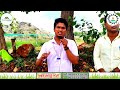 best agro forestry plants nursery srigandham plants nursery agroforestry by shiva agri clinic