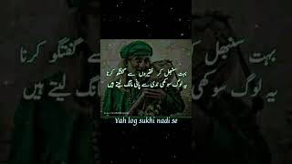 Quotes about Sufi | Deep urdu quotes | True quotes about Sufi | life lesson quotes #shorts