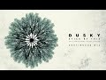 dusky stick by this 10th anniversary deluxe edition continuous mix