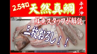 直売所　鮮魚スタッフが教える三枚おろし！