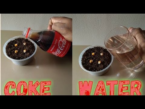Is Sprite good for plants?