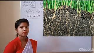 ଚତୁର୍ଥ ବିଜ୍ଞାନ ଉଦ୍ଭିଦର ଅଂଶ