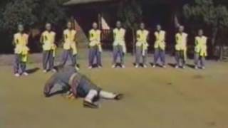 少林地躺梅花拳 - Shaolin Ditang Meihua Quan