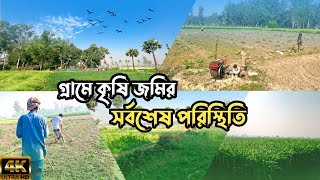 গ্রামের কৃষি জমি বর্তমানে কেমন হয়েছে তা আজ নিজের চোখে দেখলাম ।Village Life Nature ।