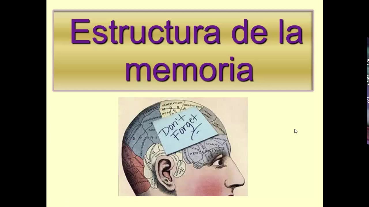 2 Estructura De La Memoria - YouTube